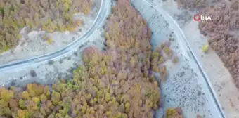 Yozgat ormanlarında renk cümbüşü havadan görüntülendi