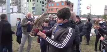 -Rize'nin atmacacılık kültürü 'Fetival' ile taçlandı