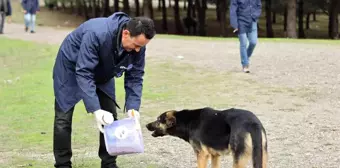 Patili dostlara 1 ton mama yardımı yapıldı