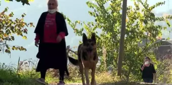 Sahibi vefat eden köpek mezarın başından ayrılmıyor