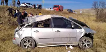 Domuz sürüsüne çarpan otomobil tarlaya uçtu: 2 yaralı