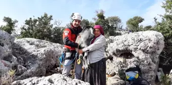 Son dakika haberi! Mersin'de 100 metre aşağıda keçi kurtarma operasyonu