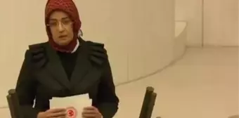 AK Partili Samancı ekonomiyle ilgili eleştirilere yanıt verdi: Ezanlarımızı susturamayacaksınız, bayrağımızı indiremeyeceksiniz