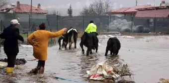 Su taşkınında ahırda mahsur kalan havyanlar kurtarıldı