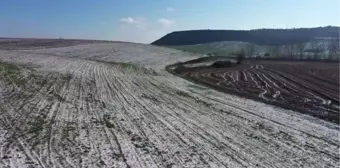 Trakya'da kar yağışı ile buğdayın gelişim hızı normal seviyelere geriledi