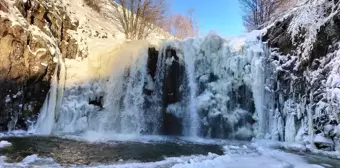 Ordu'da şelale buz tuttu