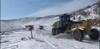 Nusaybin Belediyesinin karla mücadelesi sürüyor