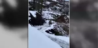 Son dakika gündem: Kardan ambulansın ulaşamadığı köyde hasta ve sağlıkçılar kepçeyle taşındı