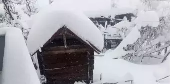 Kastamonu'da araçlar, karda kayboldu (2)