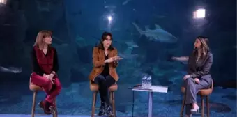 Ceyda Düvenci "doğayı ve Denizi Sevmek Korumaktan Daha Önemli"