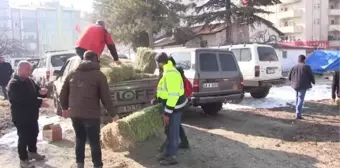 KAHRAMANMARAŞ - Gönüllüler yaban hayvanları için doğaya yem bıraktı