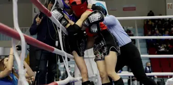 Muaythai Avrupa Şampiyonası'nda Türkiye ikinci oldu