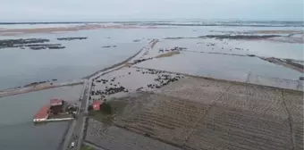 KIZILIRMAK DELTASI'NDAKİ MAHALLEDE 'TAŞKIN' KORKUSU