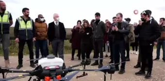 Tohumlar dronela gübrelendi... Aksu Çiftliği'nde drone ile katı gübre uygulaması