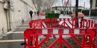 Çırağan Caddesi'ndeki kanserli 112 çınar kesildi