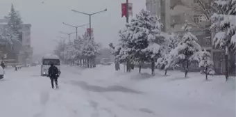 Ahlat'ta kar yağışı etkili oldu