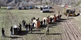 Zıplarayarak özgürlüklerine kavuştular...5 kızılgeyiğin doğaya salınma anları renkli görüntüler oluşturdu