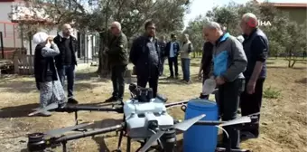 Balıkesir'de zeytin ilaçlamasında dron kullanılmaya başlandı