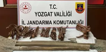 Yozgat'ta kablo hırsızlığı şüphelisi 2 kişi tutuklandı