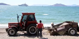 Fethiye'de caretta carettaların yumurta bıraktığı kumsal temizlendi