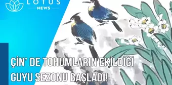 Video: Çin'de Tohumların Ekildiği Guyu Sezonu Başladı