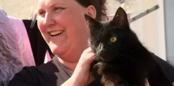 Beş yıl önce kaybolan kedi Kuzey Denizi'nde ortaya çıktı