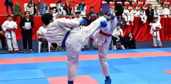 Ankara Büyükşehir'den Karate Şenliği