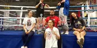 Kickboks Açık Dünya Kupası'na Aydınlı sporcular damga vurdu