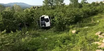 Ordu'da minibüs fındık bahçesine uçtu: 11 yaralı