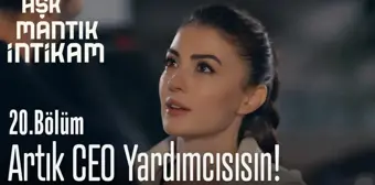 Artık CEO yardımcısısın! - Aşk Mantık İntikam 20. Bölüm