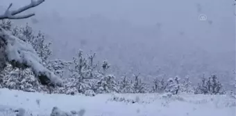 Etkili olan kar, kışı aratmadı (2)