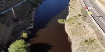 Torul Baraj Gölü'nde alg patlaması suyun rengini değiştirdi