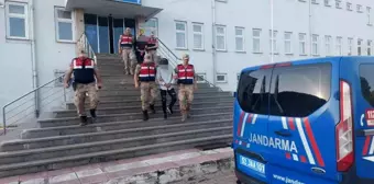 Ordu'da faili meçhul kablo hırsızlığını jandarma aydınlattı