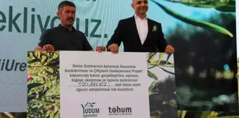 Yudum Egemden ve Tohum Derneği, yabani zeytin ağaçlarını ekonomiye kazandırıyor