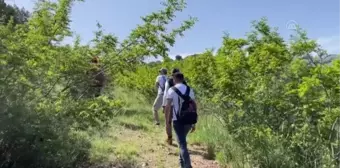 Ahbap Derneği üyeleri doğaya meyve çekirdeği bıraktı