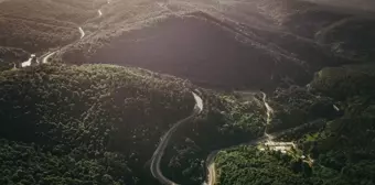 Domaniç Dağları'nın baharla yeşeren ormanları dronla görüntülendi