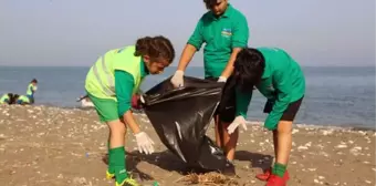 Mersin'de caretta carettaların üreme alanlarında temizlik