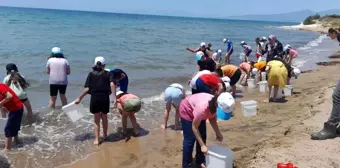 Lider çocuklar, denize balık bıraktı