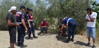 Oynarken sulama kanalına düşen Yakın boğuldu