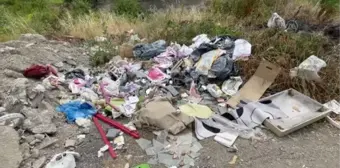 ZONGULDAK - Tarıma kazandırdığı atıl arazide organik ürünler yetiştiriyor