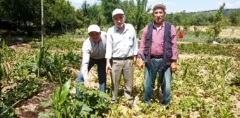 Simav'da sebze ve meyveler sağanak yağmur ve doludan zarar gördü