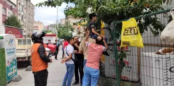 Sultangazi'de kiraz ağacından inerken kaydı: Çocuğun eline demir çit saplandı