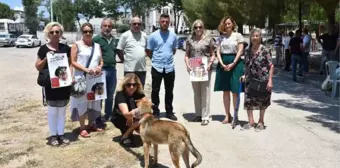 'Köpek' tartışmasında 3 kişinin öldürüldüğü sokakta can dostlarını beslediler