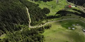 Gümüşhane'de yayla göçü başladı