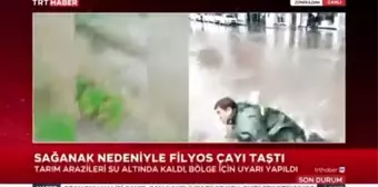 Muhabir canlı yayında rögara düştü