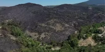 Son dakika haberleri | BALIKESİR - Kepsut ilçesindeki orman yangınında soğutma çalışmaları sürüyor