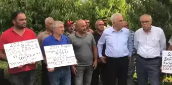 Tokatlı Üreticilerden Meyve Taban Fiyatının Geçen Yıldan Düşük Olmasına Tepki: '2 Lira Fiyat, Köylüyle Dalga Geçmekten Başka Bir Şey Değil'