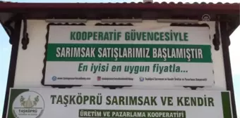 KASTAMONU - Taşköprü sarımsağında fiyat dalgalanmaları kooperatifle önlenecek