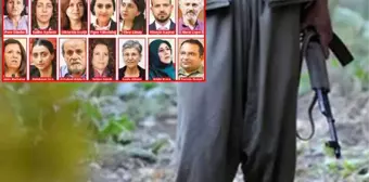 Güvenlik güçlerine teslim olan PKK'lı terörist her şeyi itiraf etti: HDP'li vekillerin listeleri Kandil'de hazırlandı