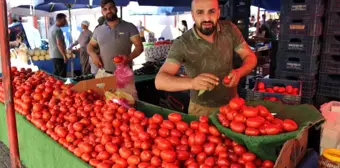 Salçalık domatesler tezgahlara indi